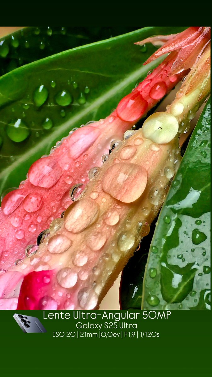 The beauty of the rain after it stops! 💙📸
<a href="/snapdragon_BRA/">Snapdragon Brasil</a> <a href="/snapdragon_LAT/">Snapdragon Latam</a>
<a href="/Snapdragon/">Snapdragon</a> <a href="/SamsungBrasil/">Samsung Brasil</a>
#GalaxyS25Ultra #qualcomm #snapdragon8eliteforgalaxy #ShotOnSnapdragon #samsungmembers #galaxyai #comGalaxy #withGalaxy