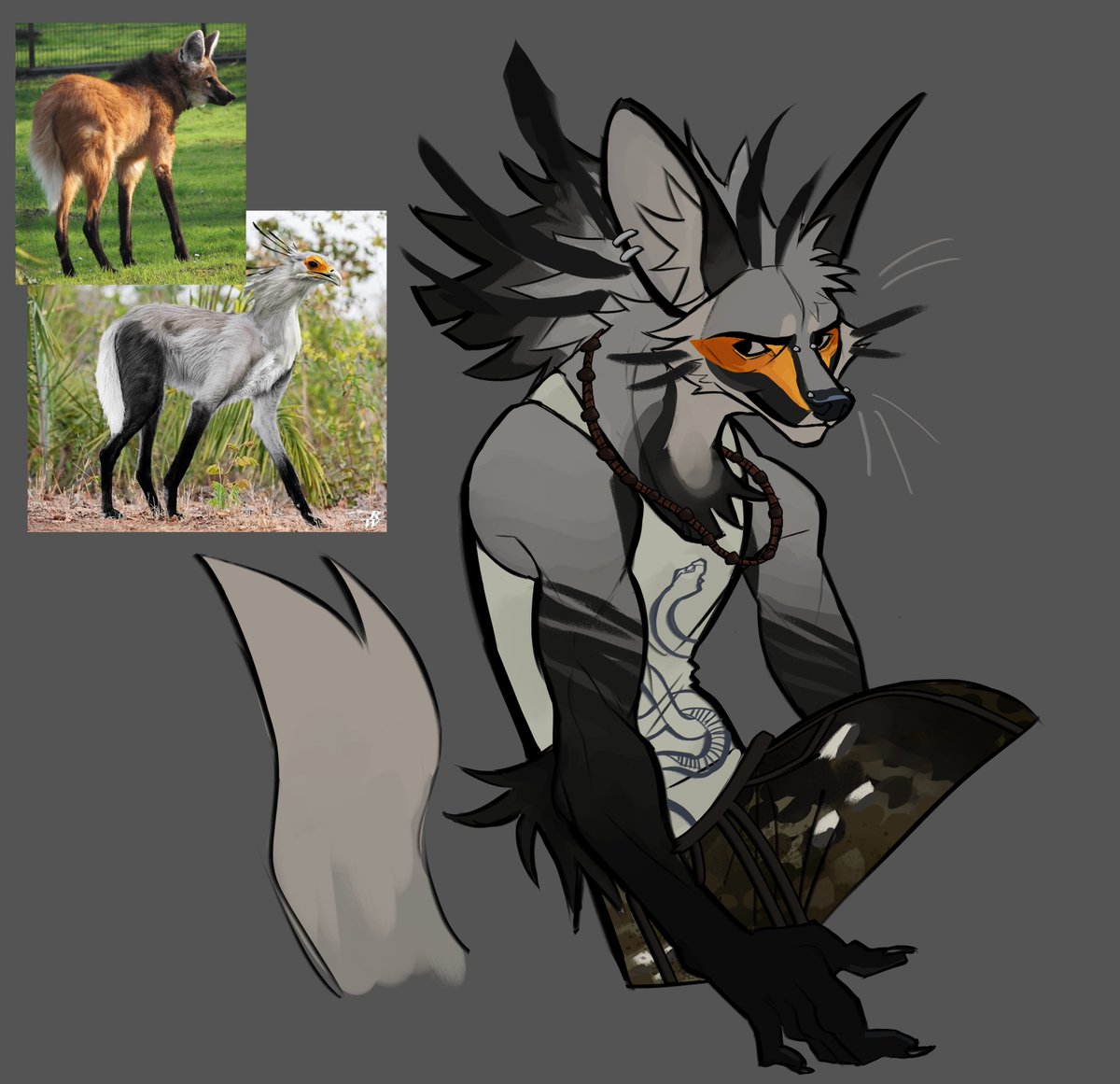 maned wolf x secretary bird