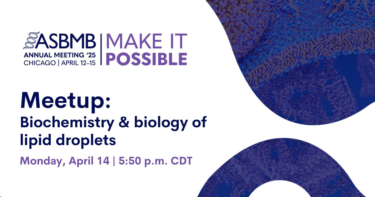 🗓️April 14
🕔5:50 p.m. CDT
Attending #ASBMB25? Add this meetup on the biochemistry and biology of #lipid droplets to your schedule!
bit.ly/4jt8FHw