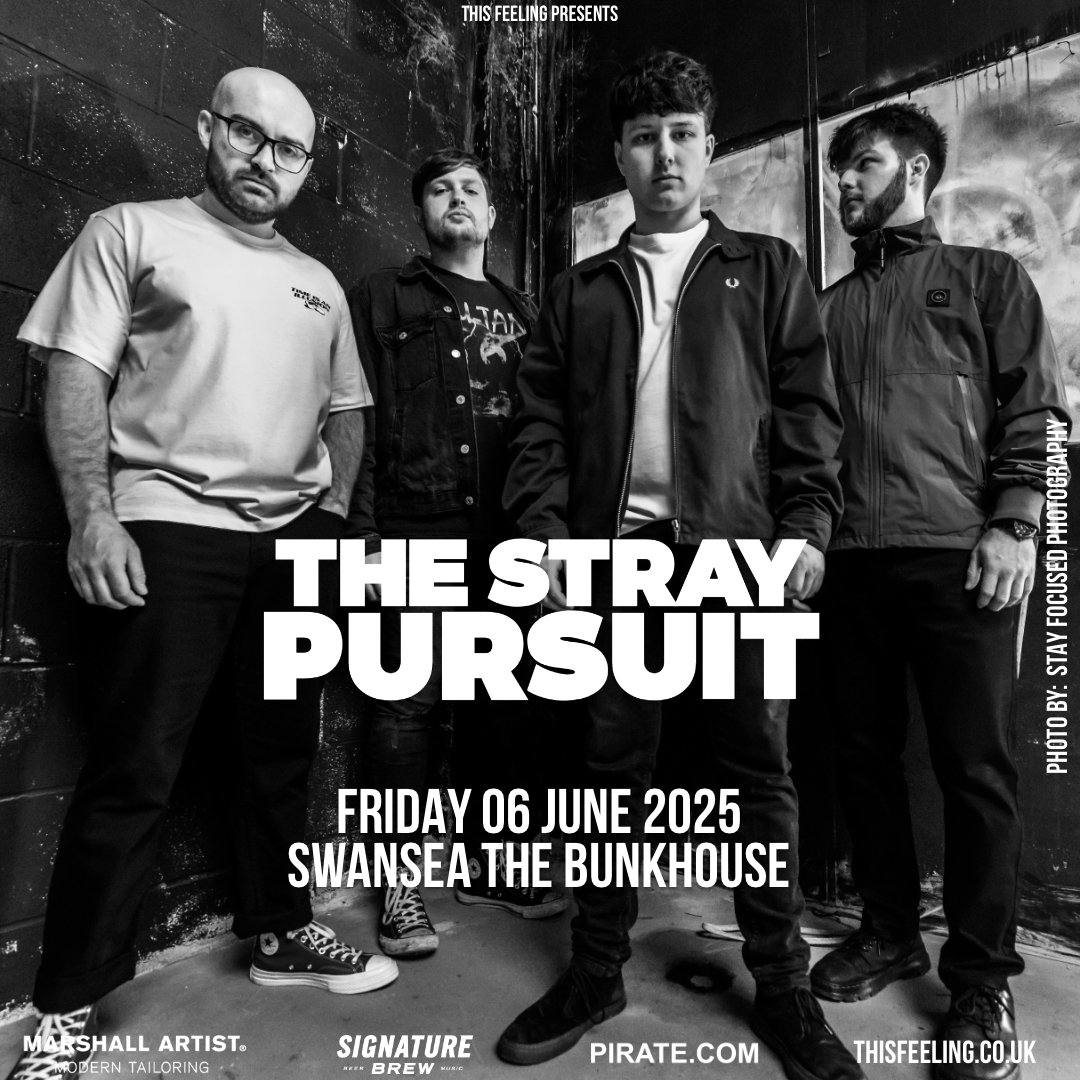 The Stray Pursuit tweet media