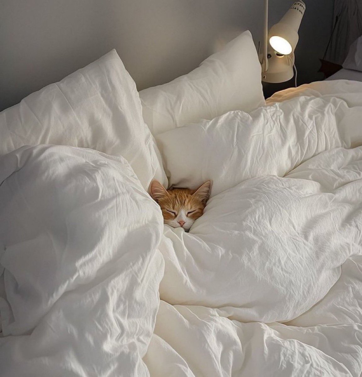 ayetel kursi, felak, nas okuduktan sonra bizim uyku kalitesi