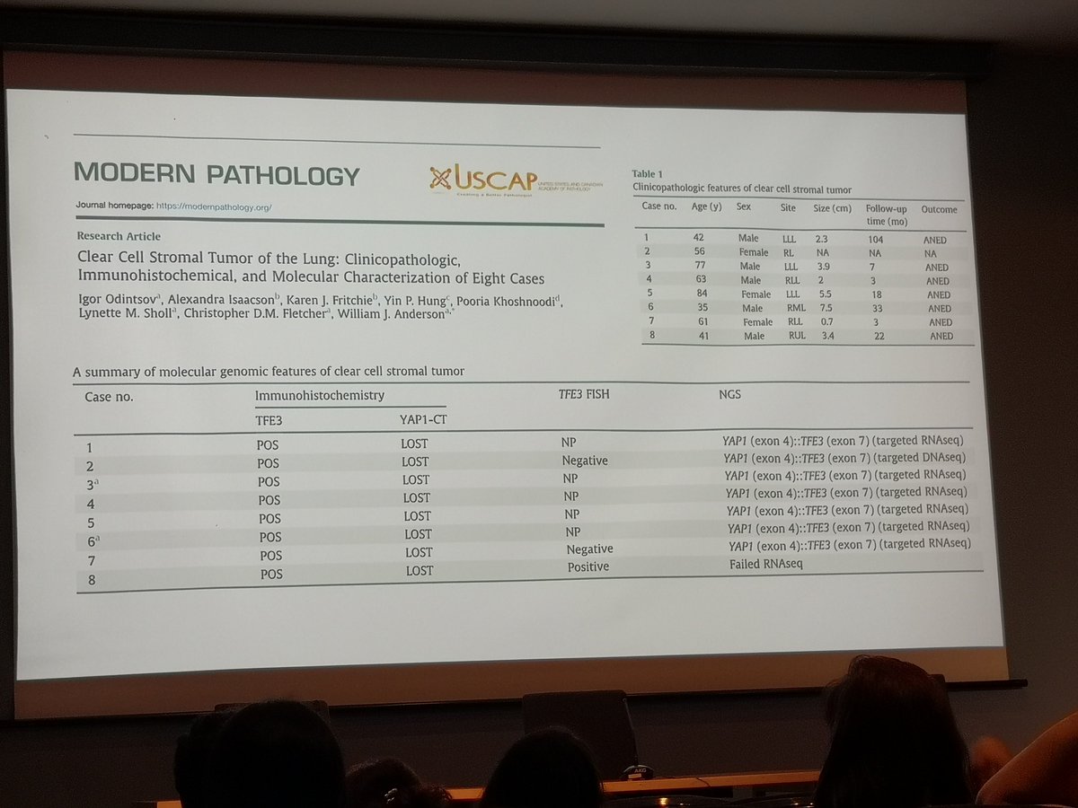 Clear cell stromal tumor of the lung.
New kid on the block in #BSTPath. 
Don't let yourself fooled by the name ➡️ prominent clear cell cytoplasm only in a minority of cases.
Dr. Dei Tos at the #BST pathology course in Barcelona, Spain
#PathTwitter #HMAR_BASTPC25