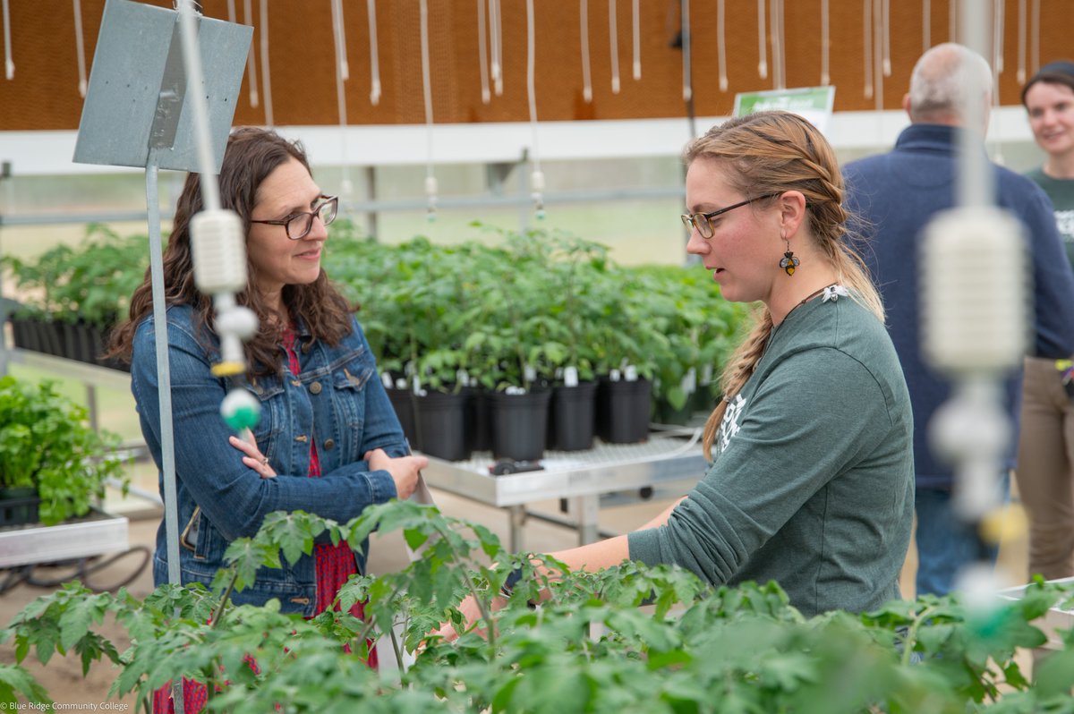 Blue Ridge Community College (@blueridgecc) on Twitter photo "Just as our students will utilize this greenhouse to nurture plants to their full potential, Blue Ridge Community College is cultivating a workforce ready to meet the challenges of tomorrow."
- <a href="/PresLeatherwood/">Laura Leatherwood</a>
blueridge.edu/2025/04/10/bluā¦
#EducationElevated #WNC #Agriculture "Just as our students will utilize this greenhouse to nurture plants to their full potential, Blue Ridge Community College is cultivating a workforce ready to meet the challenges of tomorrow."
- <a href="/PresLeatherwood/">Laura Leatherwood</a>
blueridge.edu/2025/04/10/bluā¦
#EducationElevated #WNC #Agriculture