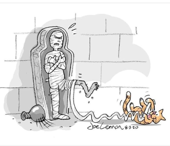 13Betico13's tweet image. #BuenosDías 
    #FelizDomingo