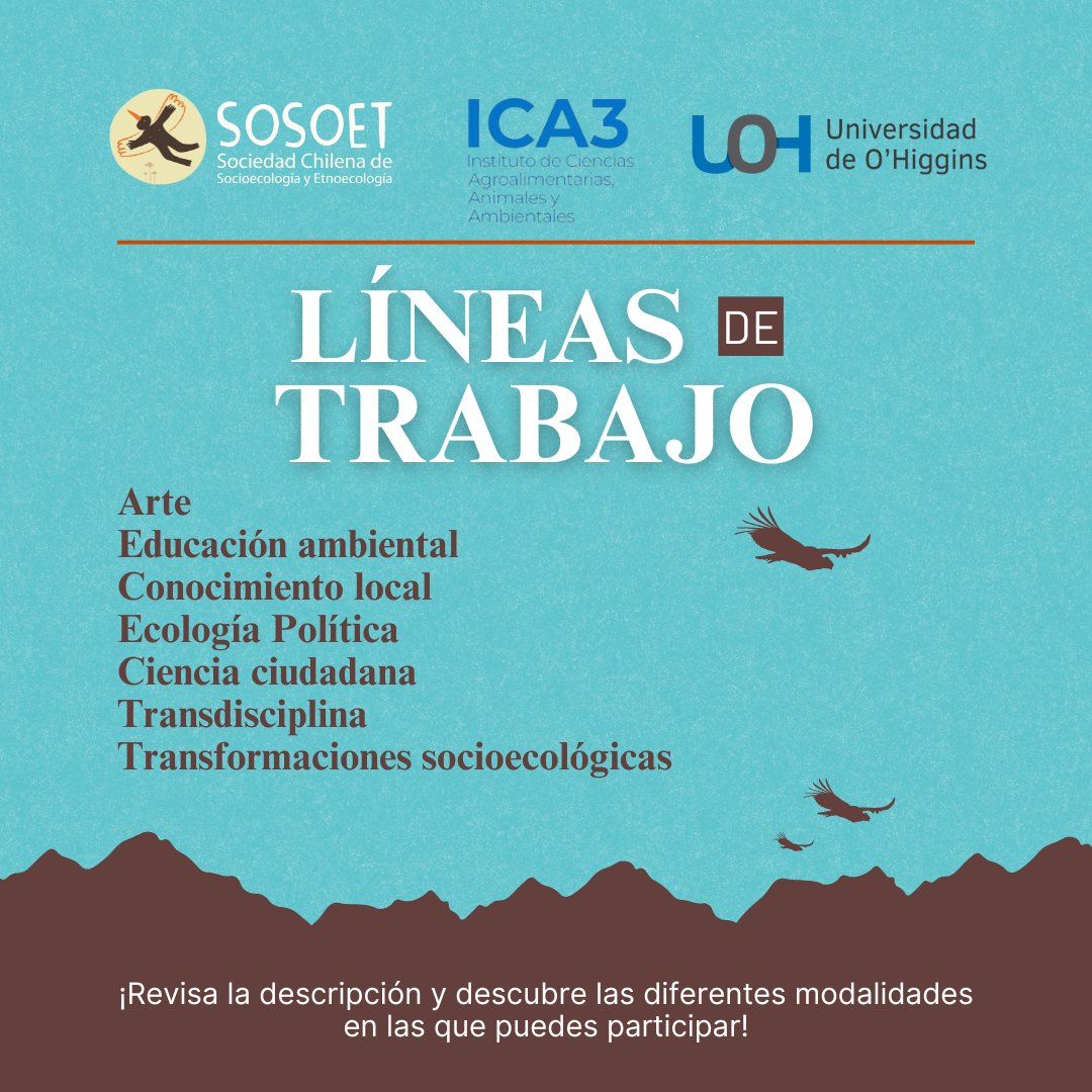sosoet_chile's tweet photo. 🌿Llamado a Resúmenes V Coloquio SOSOET 2025 "Pluriversos y valores de la naturaleza: construyendo caminos hacia futuros alternativos"  
🗓️6, 7 y 8 de agosto de 2025, Campus Colchagua de la Universidad de O’Higgins, San Fernando
📍Resúmenes hasta 09/05/25:
https://t.co/VRDRVuJBwJ https://t.co/PdhZAZUzZ6