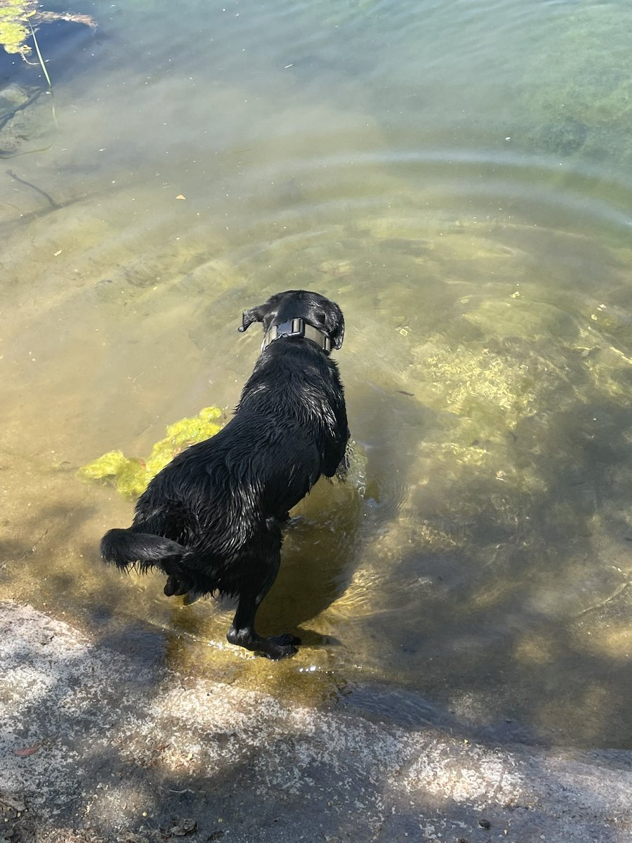 RedWireBBQ's tweet photo. Swimming season is upon us https://t.co/rKdaiHAGd7