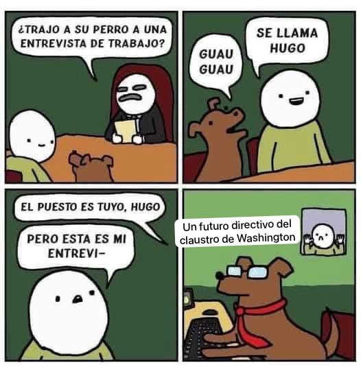 RobertoFGallo's tweet photo. #LaExPresi entrevistando candidatos y eligiendo a puro perro lamebotas que nomás sabe dar dos vueltas, echarse y dar la patita😂

Y otros que se la pasan ladrando y cuando les abren la reja mejor se dan la vuelta de regreso, ¿verdad #Batman y #LordBecas?😂

#PerrosCagones
💩 💩 https://t.co/HncgRkPkzW