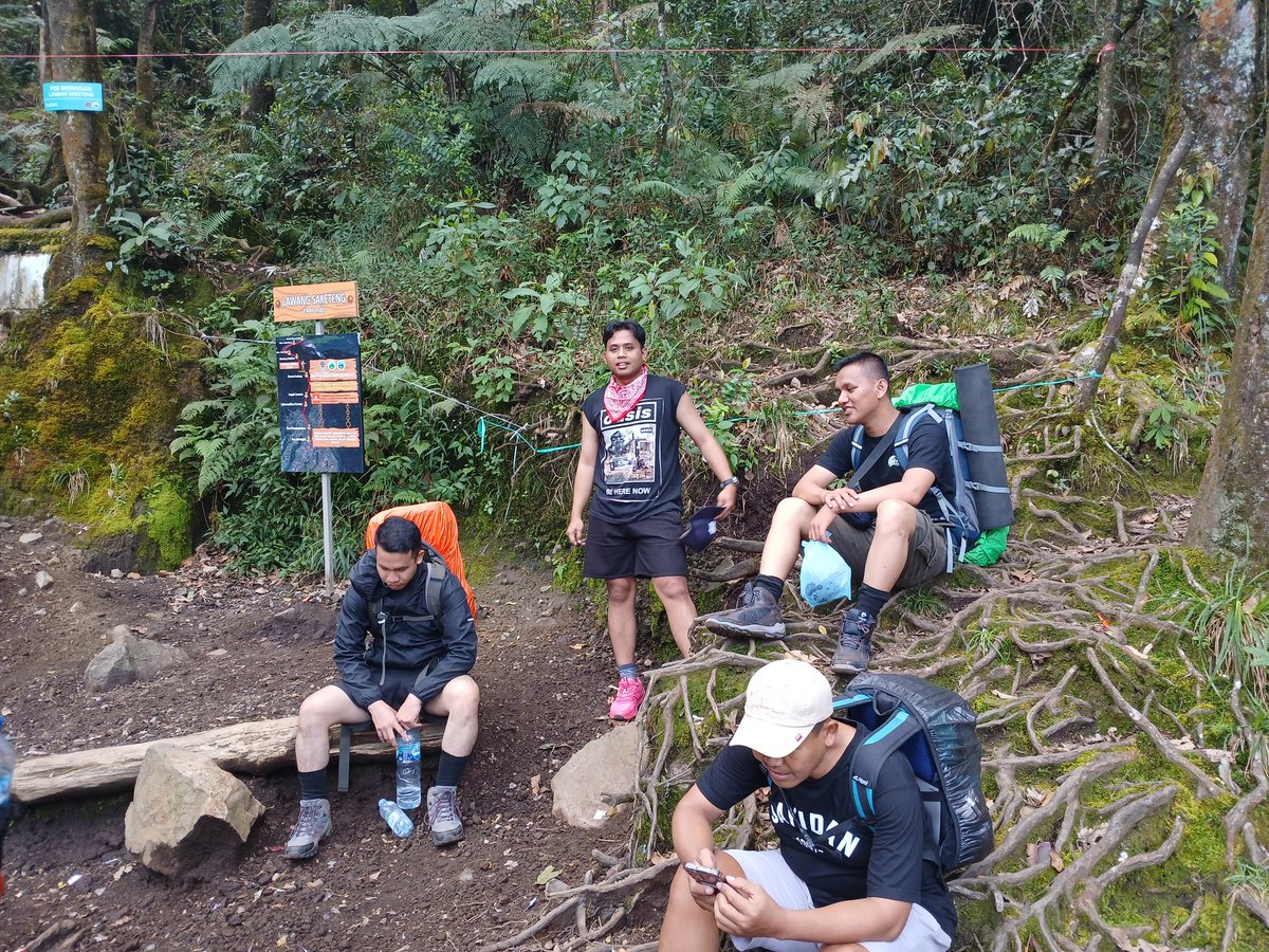 Adatidak3's tweet photo. Diduga para pemuda ini karena terlalu lelah mendaki mereka sepakat beralih hobi jadi kolektor perangko drpd mendaki... https://t.co/z3lfijLQkR