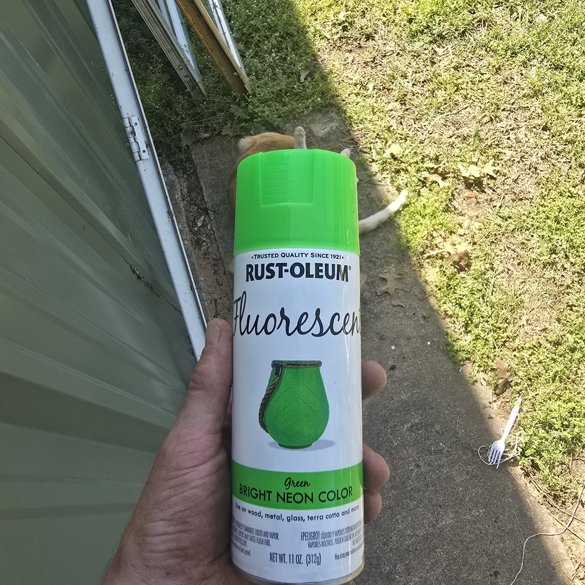 PecosBill817's tweet photo. I'm almost done with my first plate.
A few others are ready to paint.
I'm doing the words and numbers green.
#diy #health #gym #fitness #wellness new gym opening soon!!
#infowars #infowarsstore
I like the infowars supplements! https://t.co/kZsRReMhSg