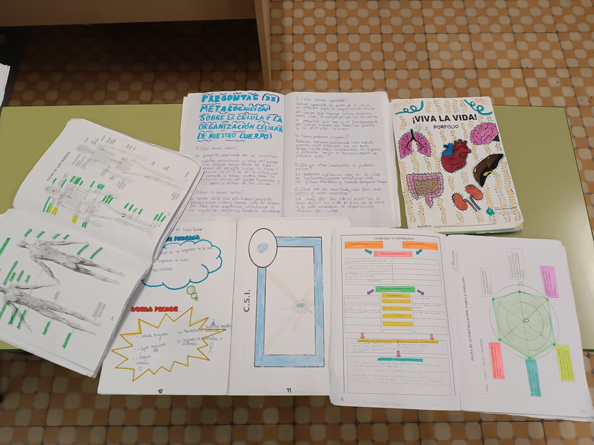 M_INMACULADA_AB's tweet photo. Alumnos de 5° de EP terminan el proyecto interdisciplinar de CC.NN: "Viva la vida". Rutinas y destrezas de pensamiento, metacogniciones, rúbricas, escalas, dianas, maquetas,DAFO... y sobre todo  mucha diversión. ¡Lo hemos pasado genial! ¡Enhorabuena chicos!
#ColegiosHHCC
#ABP https://t.co/zZG3sueFSk