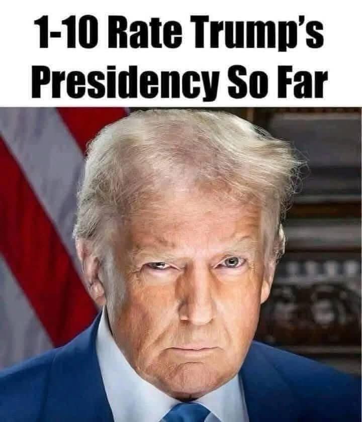 REPUBLICANS AGAINST MAGA tweet media