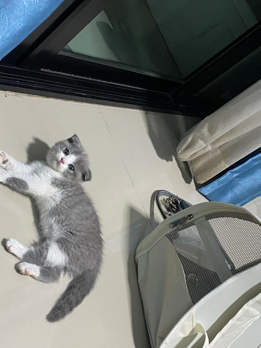 ตุวอ้วน⬇️