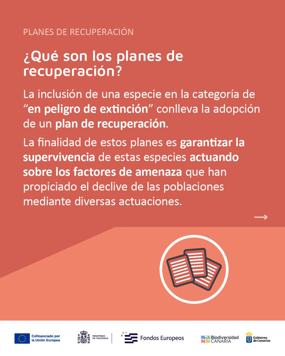 Biodiv_GobCan's tweet image. Nuestro archipiélago alberga una #biodiversidad única en el mundo, con especies que no existen en ningún otro lugar del planeta. 🧵⬇️

#BiodiversidadCanaria #SomosBiodiversidadCanaria  #CatálogoCanario #EspeciesProtegidas #PeligroDeExtinción