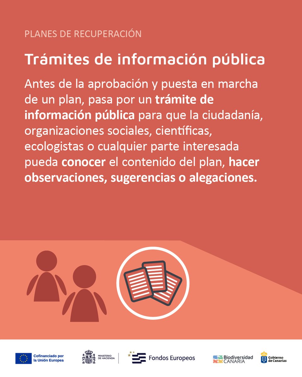 Biodiv_GobCan's tweet image. Nuestro archipiélago alberga una #biodiversidad única en el mundo, con especies que no existen en ningún otro lugar del planeta. 🧵⬇️

#BiodiversidadCanaria #SomosBiodiversidadCanaria  #CatálogoCanario #EspeciesProtegidas #PeligroDeExtinción