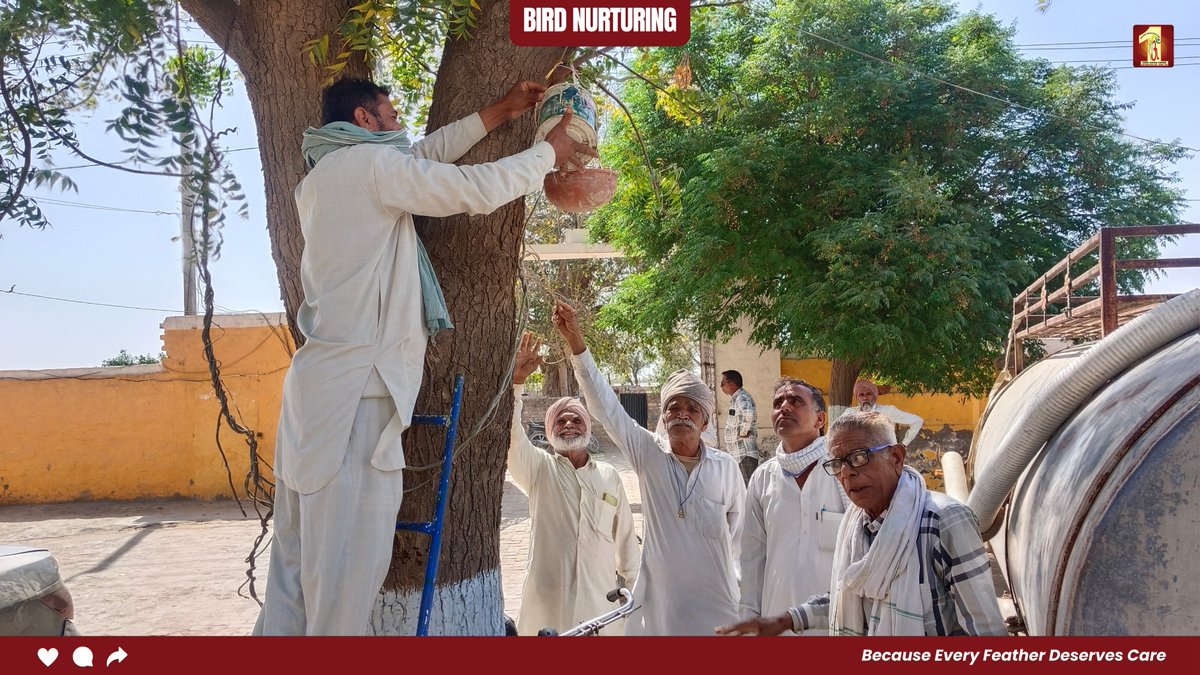 DSSNewsUpdates's tweet photo. हनुमानगढ़ के डेरा सच्चा सौदा सेवादारों ने परिंदों की प्यास बुझाकर दिखाया कि इंसानियत हर रूप में ज़िंदा है।
संत डॉ. MSG की प्रेरणा से की गई ये सेवा बनी गर्मी में सुकून की छांव।

#BirdNurturing #InspiredBySaintDrMSG #SummerCare #CommunityService #DeraSachaSauda https://t.co/2MdbfFORNC