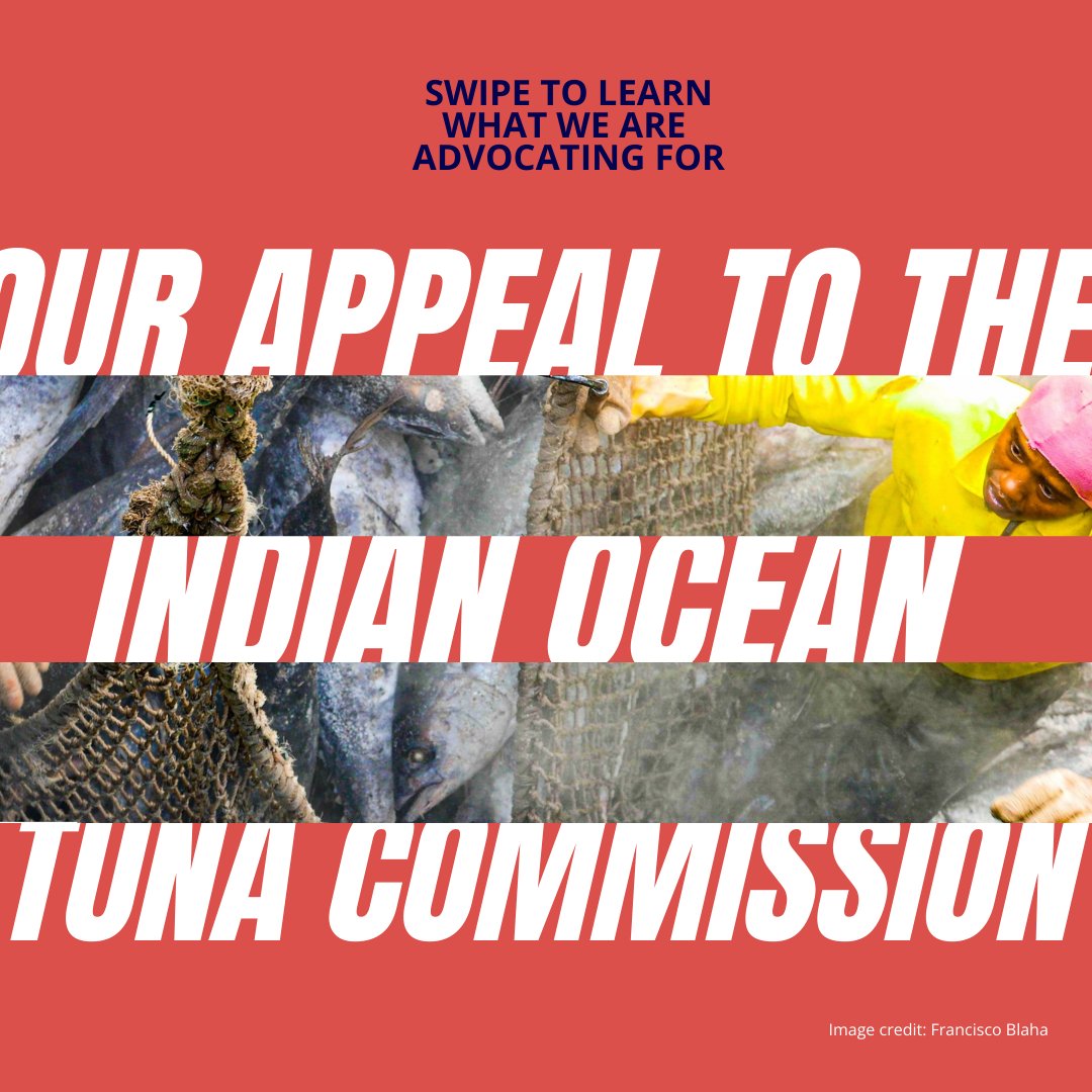 💰 The Indian Ocean represents 21% of global #tuna demand, making this event a critical opportunity for GTA to hold decision-makers accountable for improving the working conditions of fishers.

Ahead of the 29th Session of the IOTC, we're heading in with clear priorities ⬇️