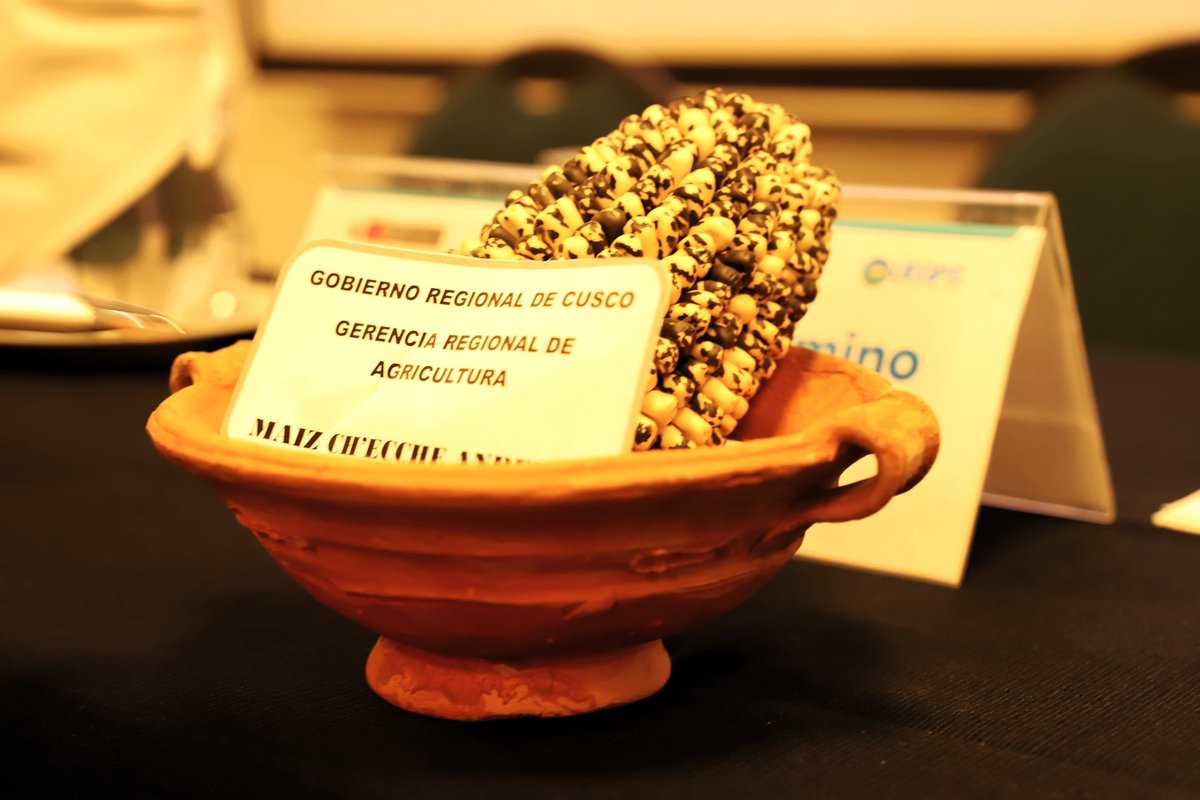 Uegps_Midagri's tweet photo. ✅ El evento contó con la presencia del titular de la #UEGPS, del #PIADER y representantes del @gorecuscope y su Gerencia Regional de Agricultura, quienes destacaron la importancia de esta encuesta para fortalecer la planificación y políticas agrarias. 💪 https://t.co/5W8AdJvTk6