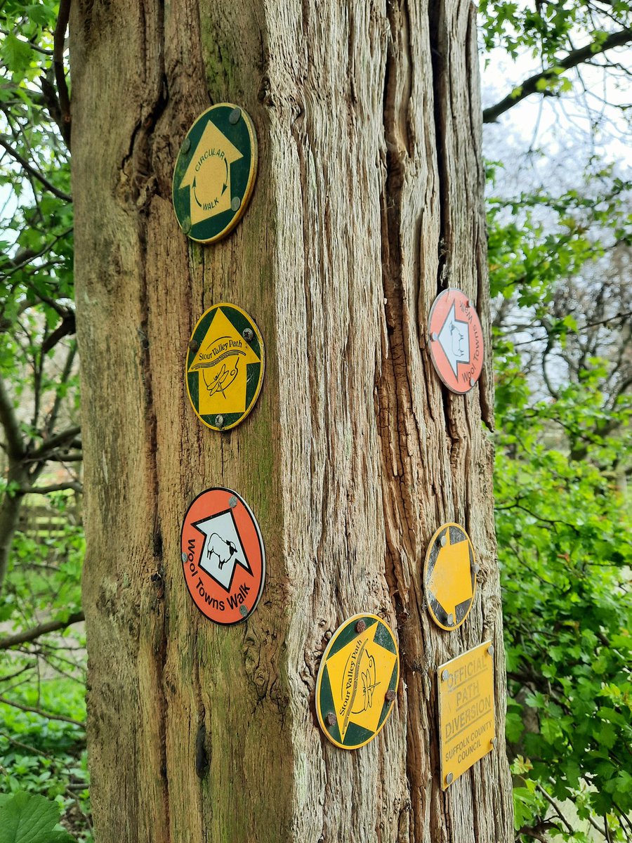 Running Bear 🇺🇦 tweet media