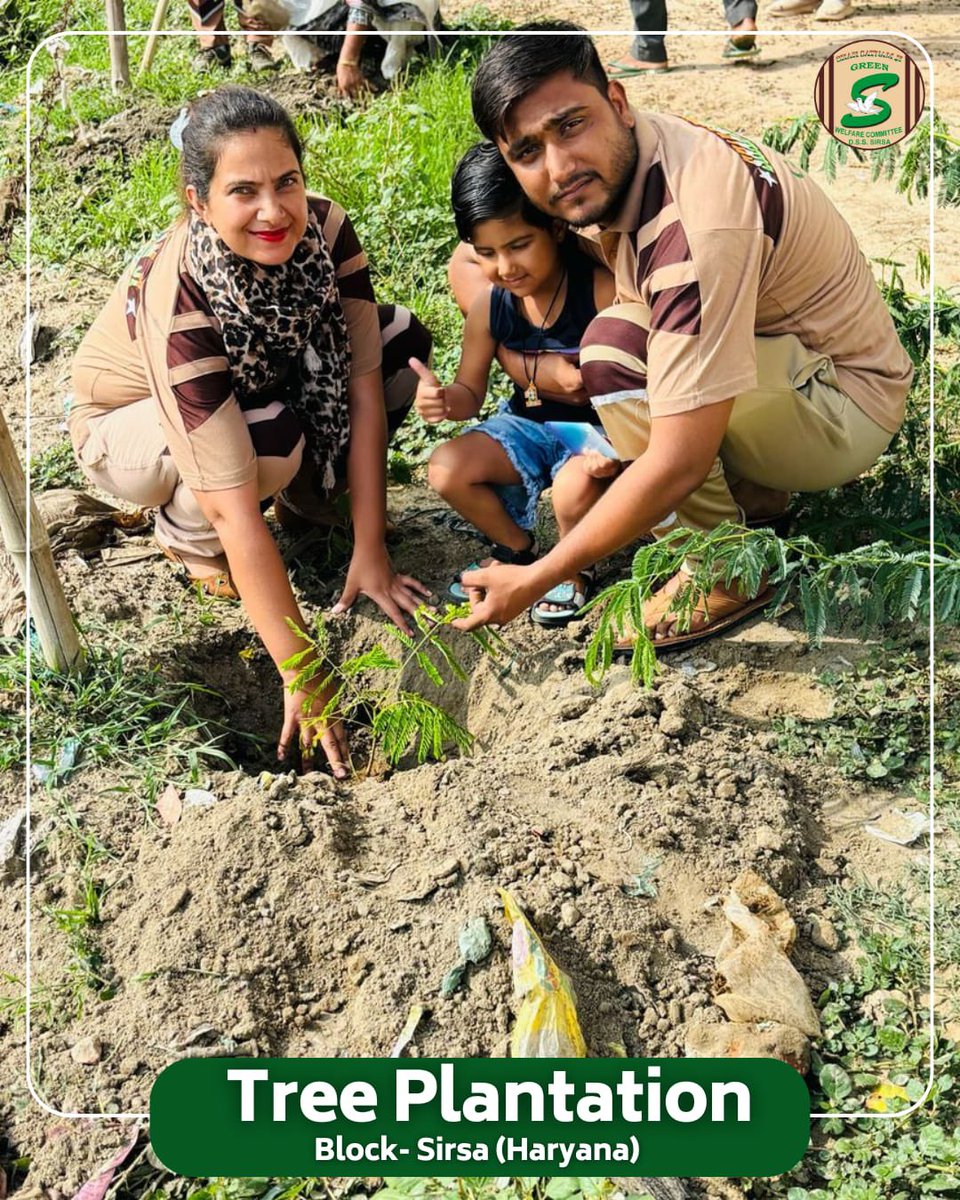 GreenSwelfares's tweet photo. Green🌱Today, Greener Tomorrow!  

Shah Satnam Ji Green 'S' Welfare Committee volunteers, inspired by Saint Dr. MSG Insan, are on a mission—planting saplings in their local areas for a sustainable future. Every tree planted today is oxygen for tomorrow!  

Join the green revolution! 

#TreePlantation #GreenInitiative #SaintMSG #EcoWarriors