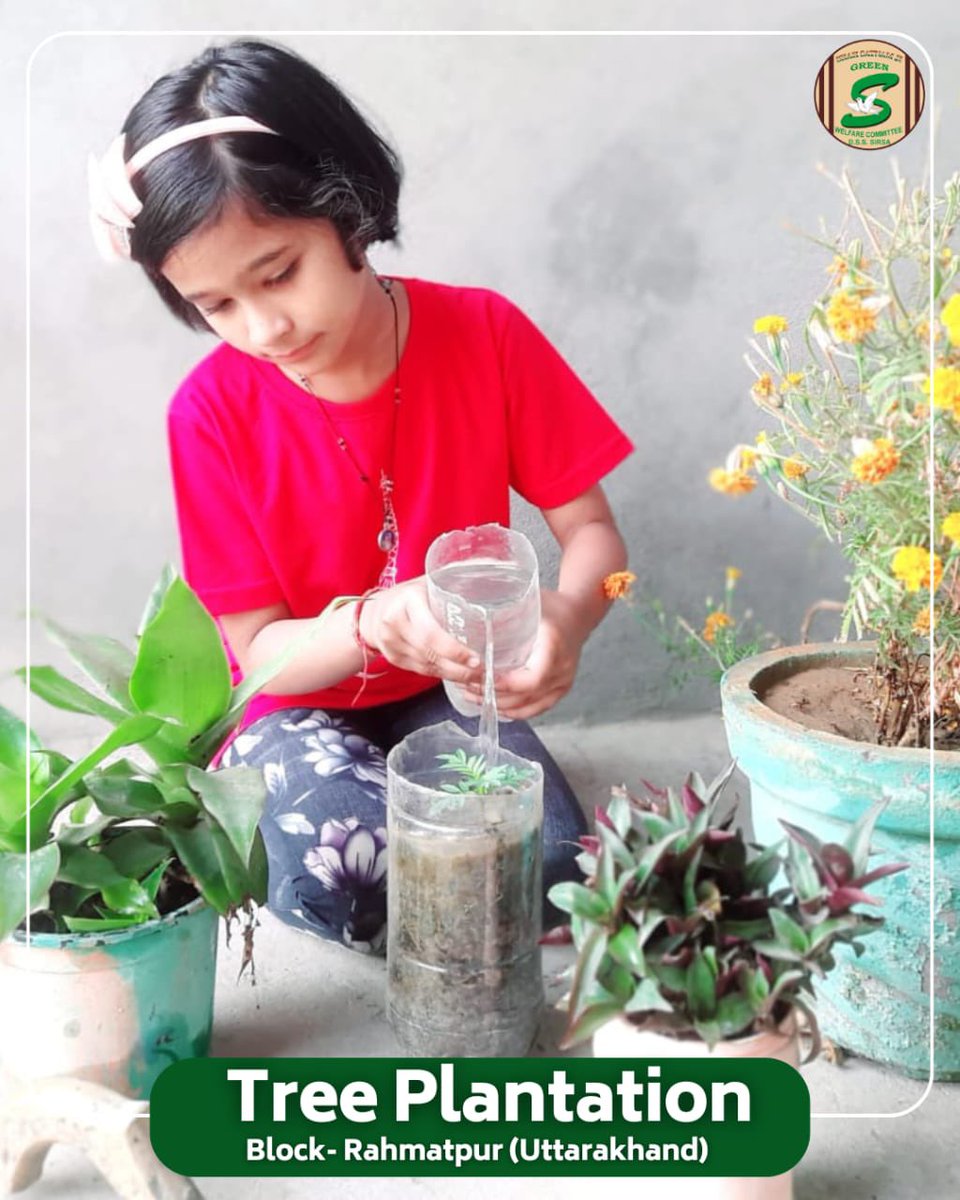 GreenSwelfares's tweet photo. Green🌱Today, Greener Tomorrow!  

Shah Satnam Ji Green 'S' Welfare Committee volunteers, inspired by Saint Dr. MSG Insan, are on a mission—planting saplings in their local areas for a sustainable future. Every tree planted today is oxygen for tomorrow!  

Join the green revolution! 

#TreePlantation #GreenInitiative #SaintMSG #EcoWarriors