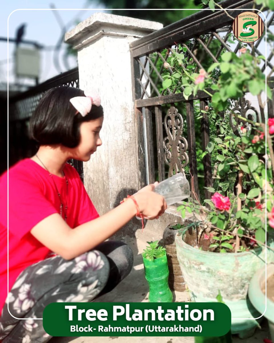GreenSwelfares's tweet photo. Green🌱Today, Greener Tomorrow!  

Shah Satnam Ji Green 'S' Welfare Committee volunteers, inspired by Saint Dr. MSG Insan, are on a mission—planting saplings in their local areas for a sustainable future. Every tree planted today is oxygen for tomorrow!  

Join the green revolution! 

#TreePlantation #GreenInitiative #SaintMSG #EcoWarriors