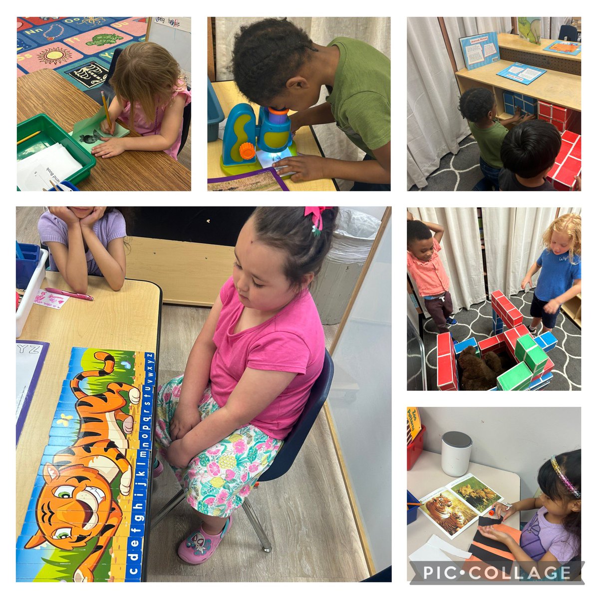 FawkesDen's tweet photo. WICOR is everywhere in PreK! Meaningful Writing, Inquiry and investigation, Collaborating in centers, keeping materials Organized and all the pre-Reading skills! #AVIDforall #risdpreK #risdbetheone https://t.co/H0Sn1ktteB