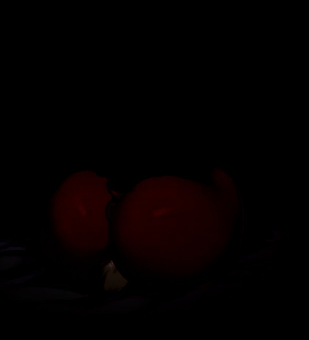 ๐~Rแดแดษช U๊ฑแดษขษชสแดแดแด~๐ฟ๐ฆ tweet media