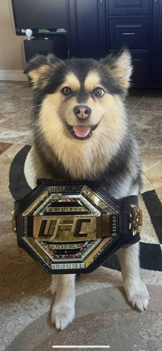 Coast 2 Coast Combat Hour (@combathour) on Twitter photo Asked grok to make the <a href="/CombatHour/">Coast 2 Coast Combat Hour</a> mascot Halo a <a href="/ufc/">UFC</a> fighter.
<a href="/Carbazel/">Carbazel MMA 🥋</a>
<a href="/prettyinaGi/">N</a> Asked grok to make the <a href="/CombatHour/">Coast 2 Coast Combat Hour</a> mascot Halo a <a href="/ufc/">UFC</a> fighter.
<a href="/Carbazel/">Carbazel MMA 🥋</a>
<a href="/prettyinaGi/">N</a>