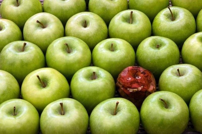 Driver 47 tweet media