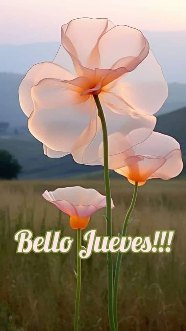 acerove's tweet photo. Buenas tardes! "Tu tiempo es ahora, no lo desperdicies". Steve Jobs. Porque la vida es un instante, usemos nuestro tiempo y energía para ser felices! Vivamos el momento! Ánimo! 🙌 #10Abril #GoodMorning #SinLuz #LaUE #Weverse #Apple #ÚLTIMAHORA #Versace #FARC #Mérida #TheHouse https://t.co/CSxEeNYili