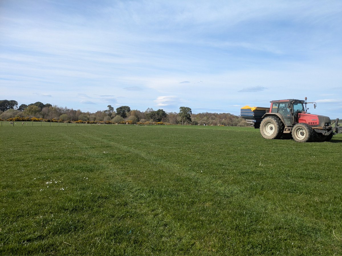 DONALD ROSS tweet media