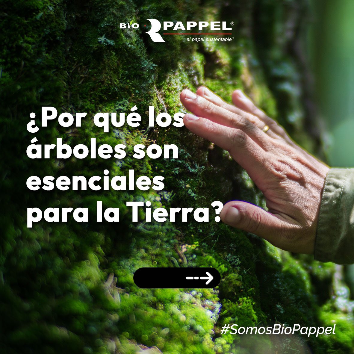 Bio Pappel tweet media