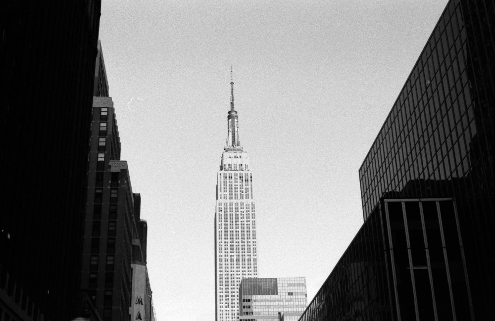 Dmitry Koupriyanov tweet media