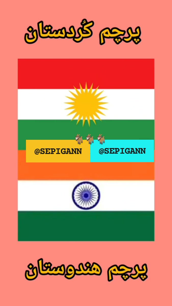 SEPIGANN's tweet photo. به این عکس ها دقت کنید 
تا ببینید #کیردوستان یعنی #هندوستان .
#تروریست   #مهاجر  #بزکوهی  #بارزانی_گوه_خورد https://t.co/YY277R79vW