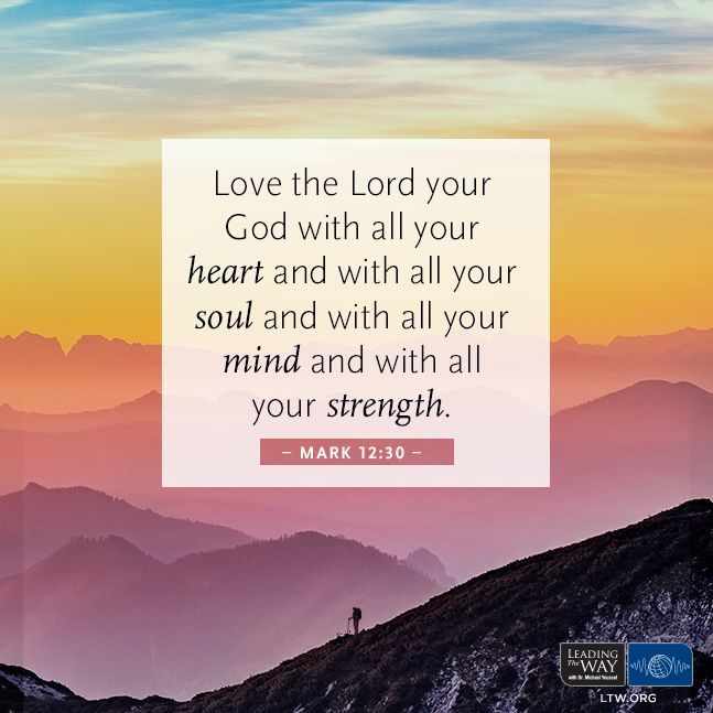 TheAWAKEAmerica's tweet photo. "Love the Lord your God with all your heart and with all your soul and with all your mind and with all your strength." - Mark 12:30 https://t.co/Ei4HiMNxcM