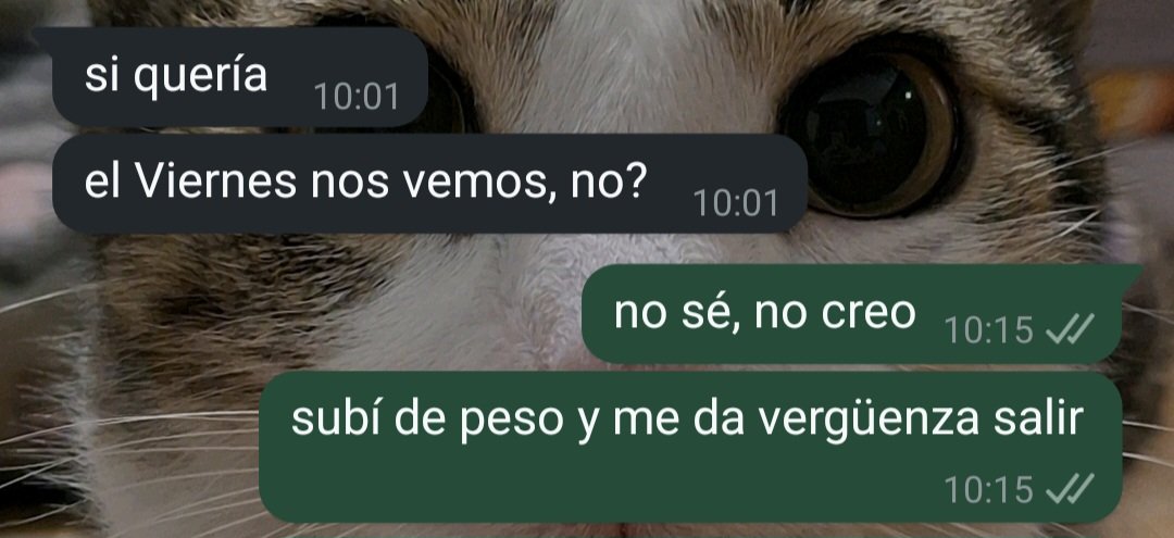 chccocal's tweet image. soy ésto