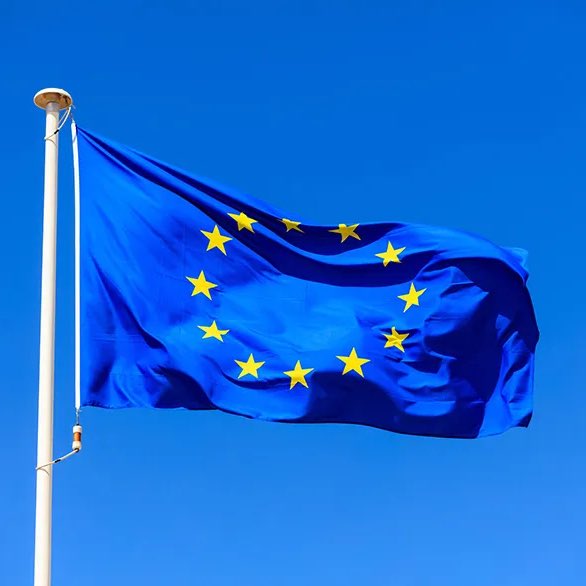 WhaleInsider's tweet photo. JUST IN: 🇨🇳🇪🇺 China and the European Union agree to start negotiations to remove EU tariffs on Chinese electric vehicles. https://t.co/mThMICVSXu