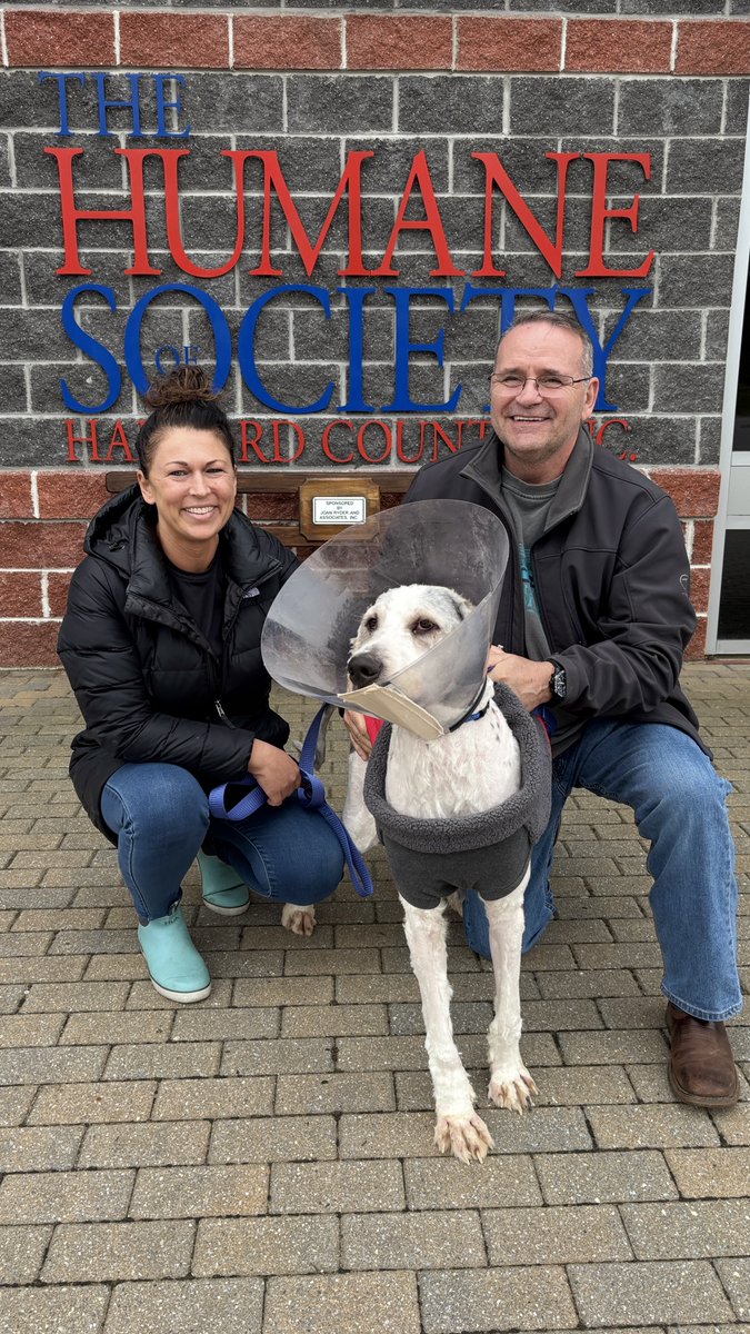Gilderoy is Going Home! 🏡🐾Wishing him and his new family a lifetime of happiness together. Gilderoy, you’re officially home! 🏠❤️

#Adopted #ForeverHome #HappyTails #HumaneSocietyOfHarfordCounty #AdoptDontShop #HSHCAlumni #NewBeginnings #RescueDogLove