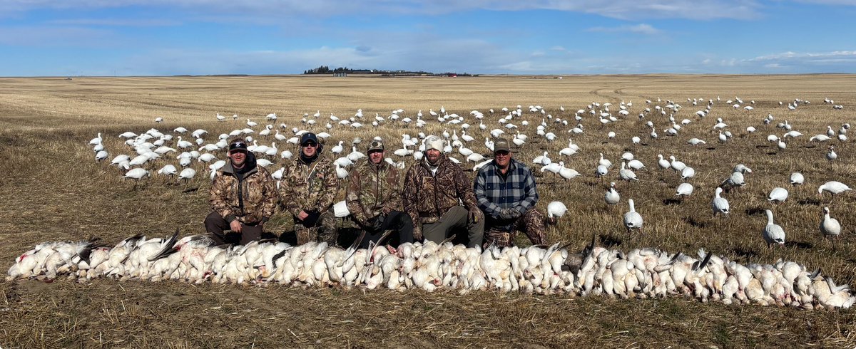 turfguy12's tweet photo. Haven’t had a morning hunt that looked like this before. It was one for the books. Just trying to help smooth relations with Canada. Thanks Alberta for putting on a show. https://t.co/TA3vkGZQGZ