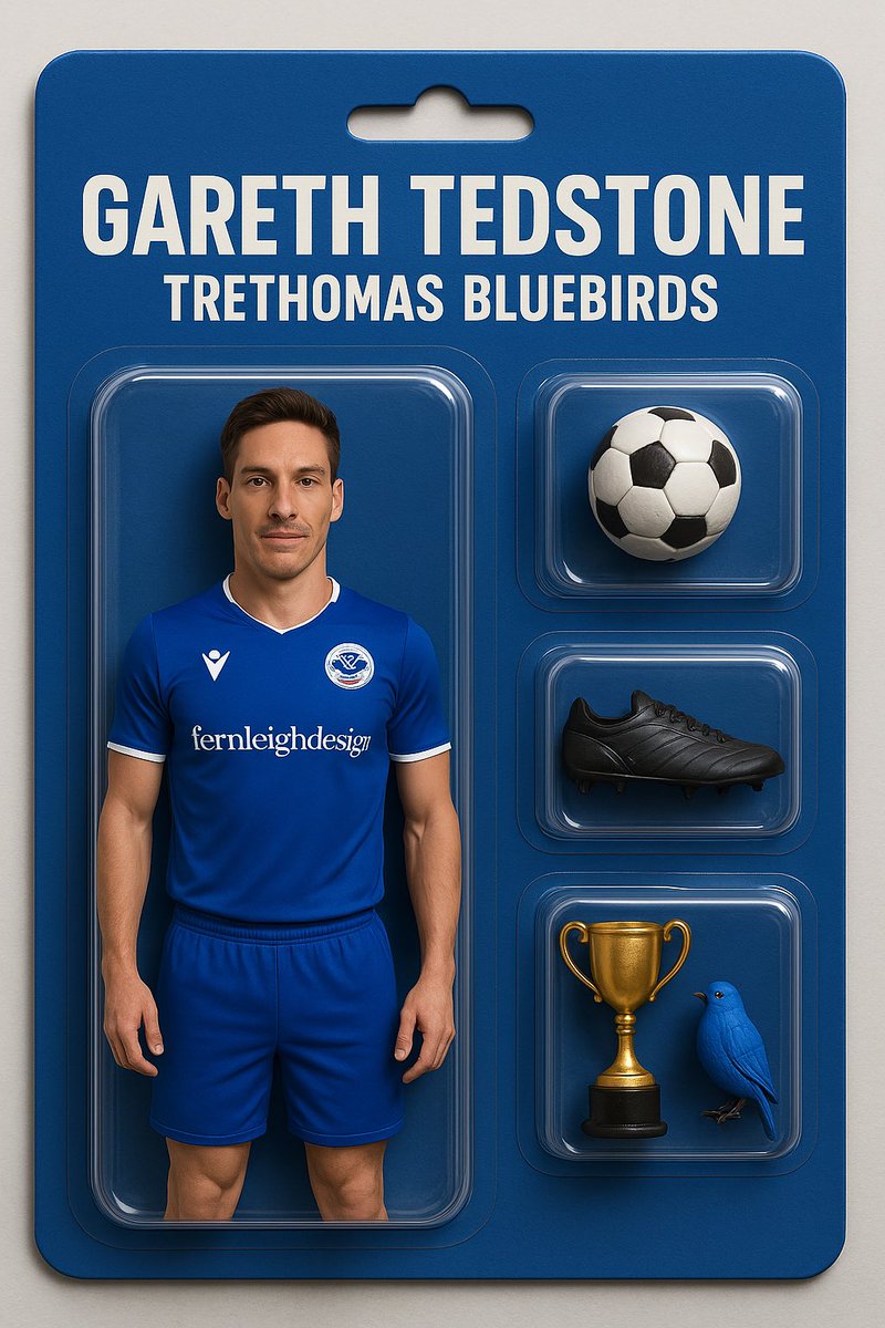 TreBluebirdsFC's tweet photo. Just jumping on the trend …….
Get yourself a @GarethTed10 action figure - guaranteed to score and get you up the league 
#UppaTre https://t.co/6h0OVQ8C2z