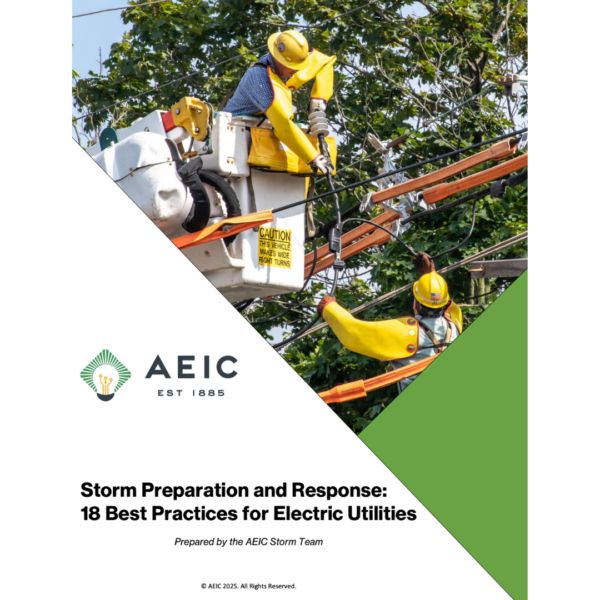AEICnews's tweet photo. A massive thank you to our Storm Team for creating a set of 18 best practices for storm preparation and response! ⚡ 

This valuable resource can help utilities better prepare for and respond to storms in their service territories. Download now: https://t.co/QqHjFpzu48 https://t.co/czIaiY8gWJ