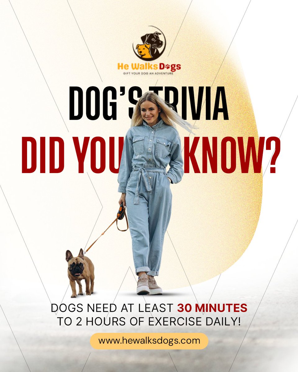 hewalksdogs2024's tweet photo. Did You Know? 🐾
Dogs need 30 mins to 2 hrs of daily exercise! Walks help prevent obesity, ease anxiety, and improve digestion—plus, they boost your mood too! 🐶❤️
📖 Source: AKC

📅 Book now: https://t.co/CaUZjeE8KH

#DogHealth #WalkYourDog #HeWalksDogs #HappyDogsLiveLonger https://t.co/tjgphwEc2b