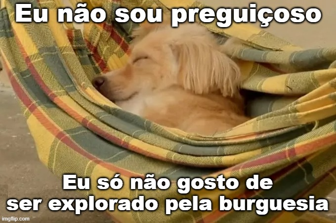 comunadememes's tweet photo. https://t.co/NgVuNSl65Z