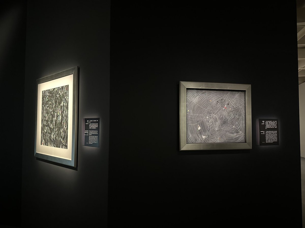 Althea_cx's tweet photo. Hong Kong Museum of Art houses the world's largest Wu Guanzhong collection! ✨ Special exhibition "Wu Guanzhong—Black. White. Grey" explores the master's aesthetics, featuring his iconic masterpiece "Swallows" 🎨 #WuGuanzhong #HKArt https://t.co/4YBTi4TJnQ