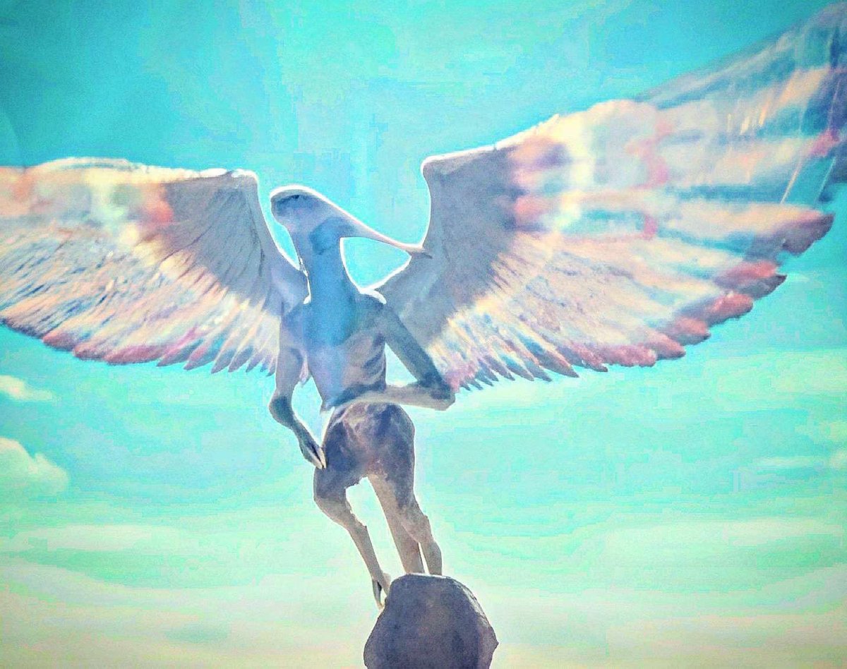 Mr_goji54's tweet photo. She’s the Monster Fairy btw https://t.co/TOZoN2cmQS