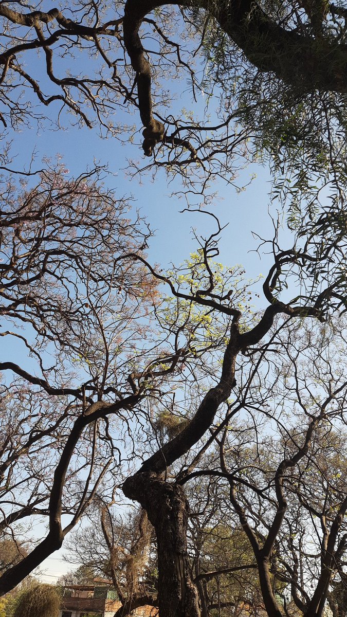 Fidel Santiago Guzmán tweet media