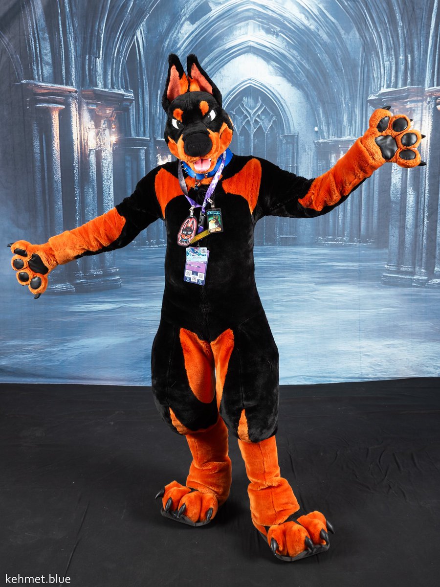 Xamorus Dobe (@xamorus) on Twitter photo Today is National Hug Your Dog Day?  Well, Iβm here!  What are you waiting for?  Hug me! Today is National Hug Your Dog Day?  Well, Iβm here!  What are you waiting for?  Hug me!