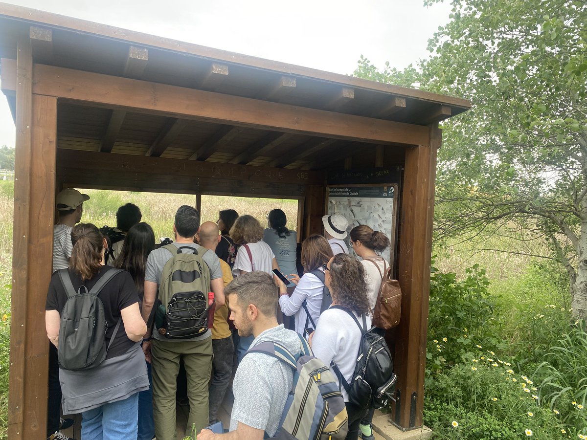 emmacepsevilla's tweet image. Magnífica práctica de campo con @BioJairo en el curso Reconectamos con el medio natural en entornos urbanos @CEPdeSevilla