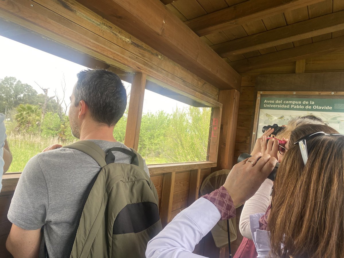 emmacepsevilla's tweet image. Magnífica práctica de campo con @BioJairo en el curso Reconectamos con el medio natural en entornos urbanos @CEPdeSevilla