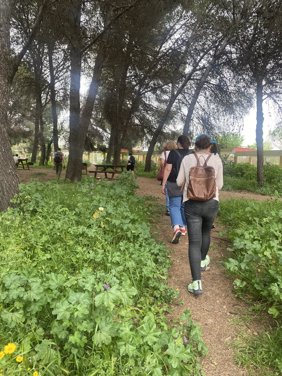 emmacepsevilla's tweet image. Magnífica práctica de campo con @BioJairo en el curso Reconectamos con el medio natural en entornos urbanos @CEPdeSevilla